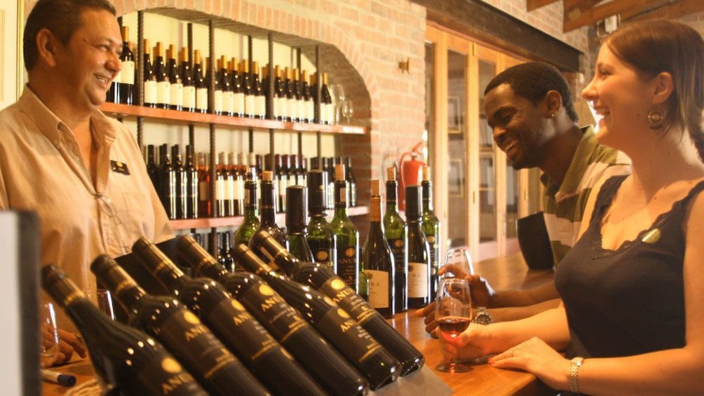 Wine tasting at the vineyard in South Africa