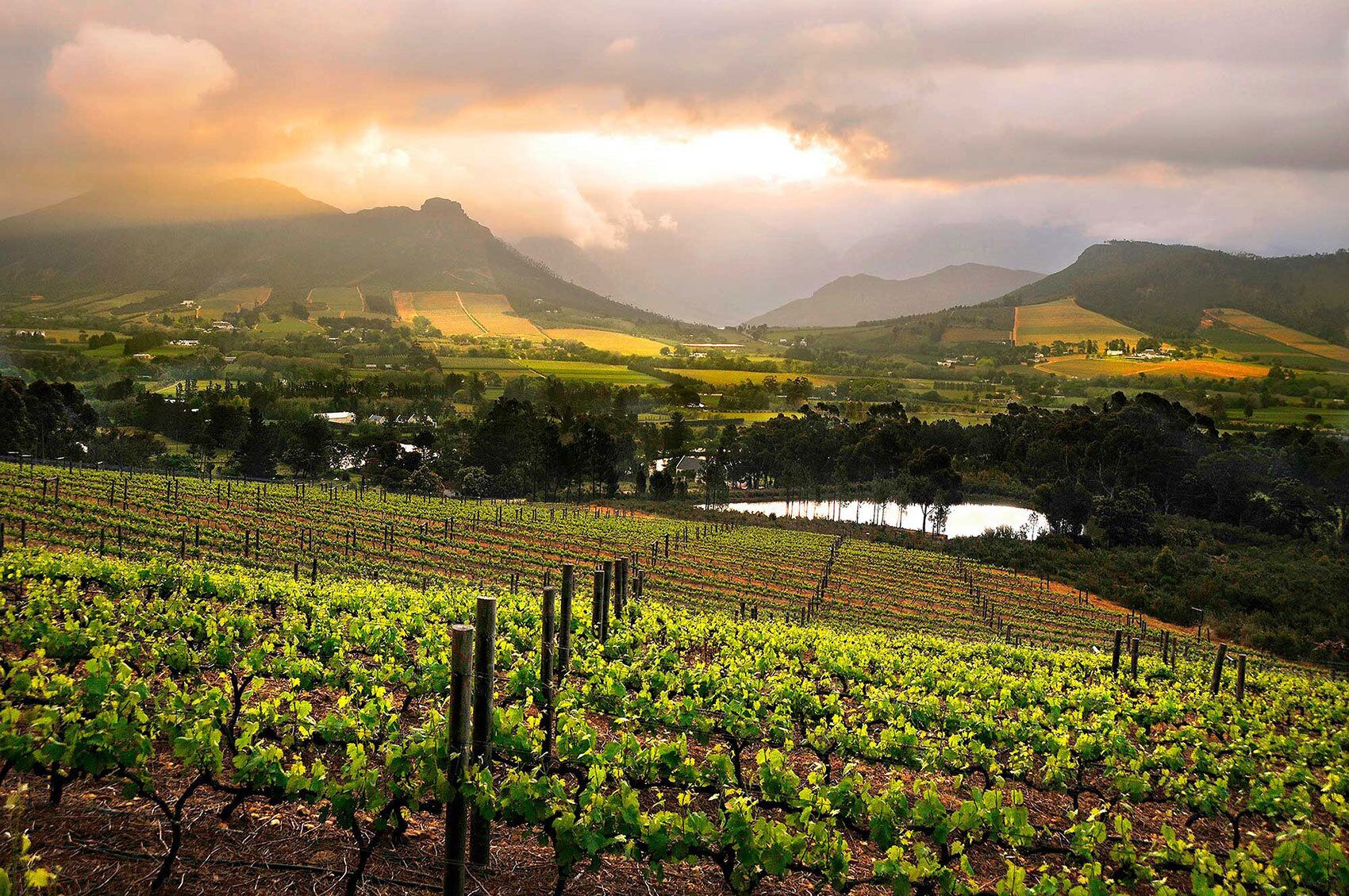 Cape Winelands Full-Day Tour