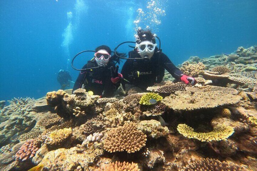 【OKINAWA / Minna Island / Sesoko Island】Trial Boat Dive (1DIve)