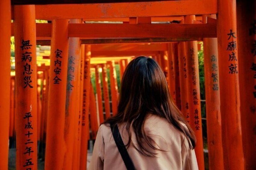 Tokyo Private Tour to Learn History and Shinto