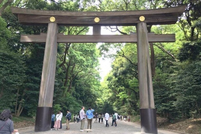 Tokyo Private Tour to Learn History and Shinto