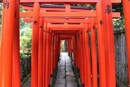 東京私人遊覽學習歷史和神道教