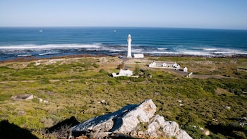 Robben Island & City Center Full-Day Tour