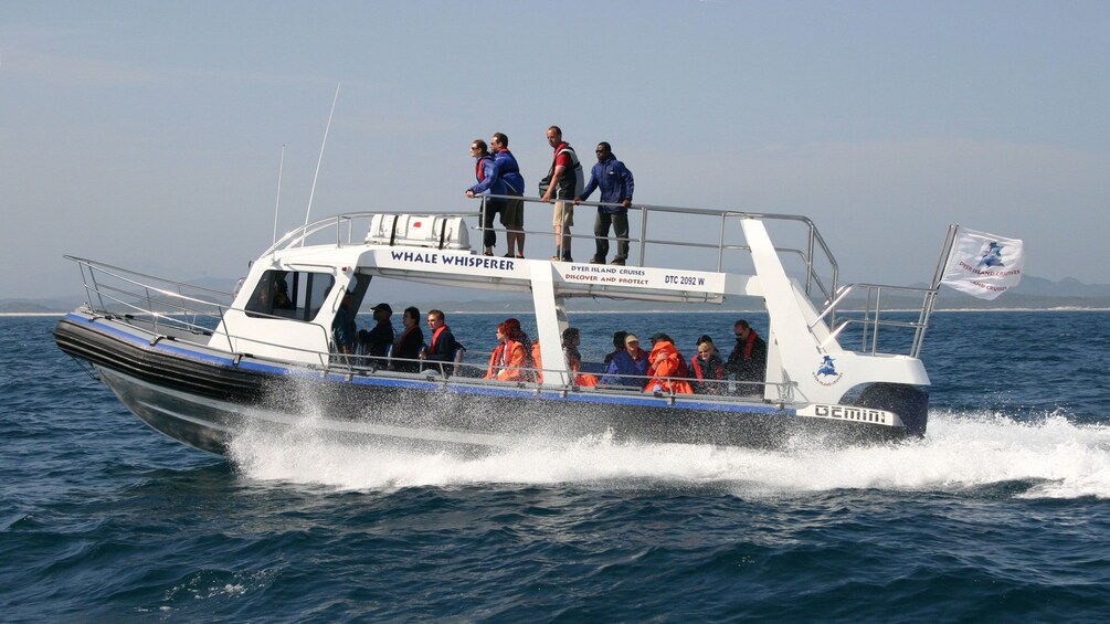 Whale Watching Full-Day Tour