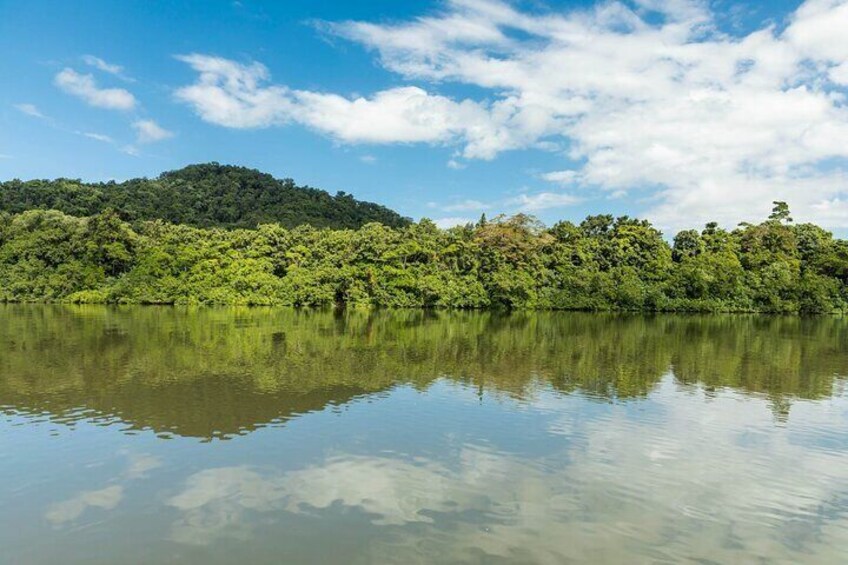 2 Day Daintree Rainforest and Chillagoe Outback Tour
