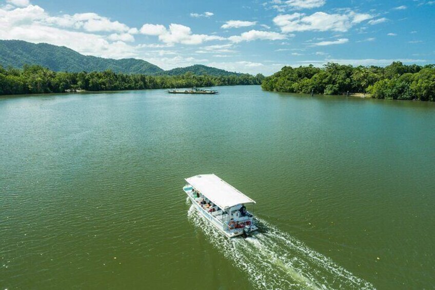 Daintree Rainforest River Cruise