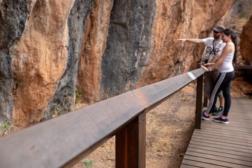 2 Day Daintree Rainforest, Cape Tribulation and Outback Chillagoe Tour
