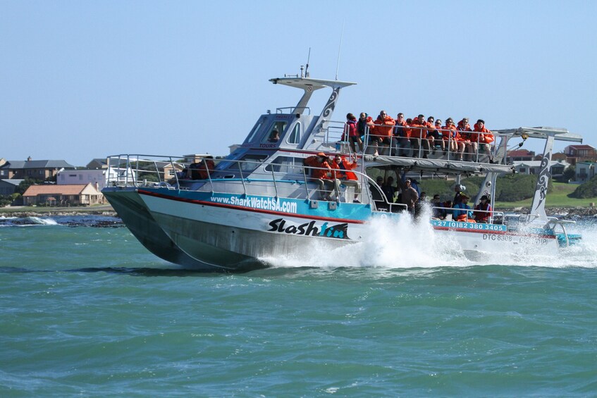 Show item 5 of 10. Great White Shark Cage Diving Full-Day Tour