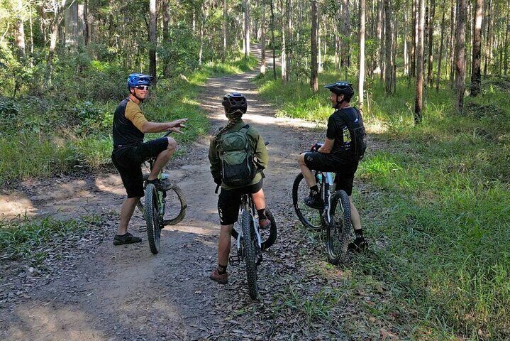 Scenic eBike of the Noosa Biosphere Trail Network