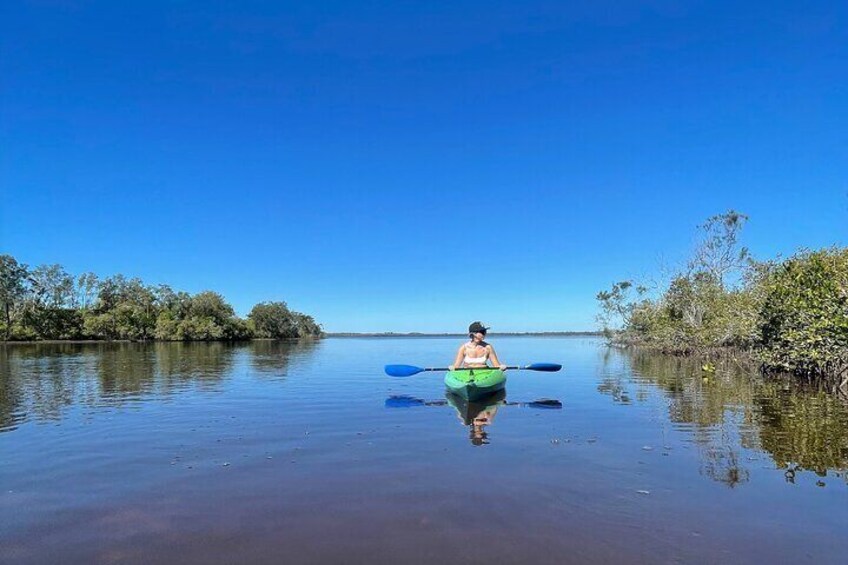 Kayaks & Stingrays: spot Rays in Noosa's hidden creeks