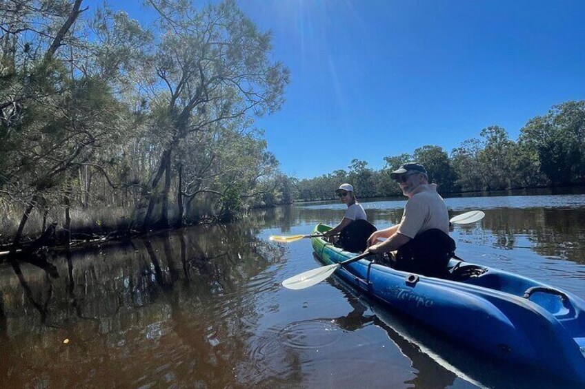 Kayaks & Stingrays: spot Rays in Noosa's hidden creeks