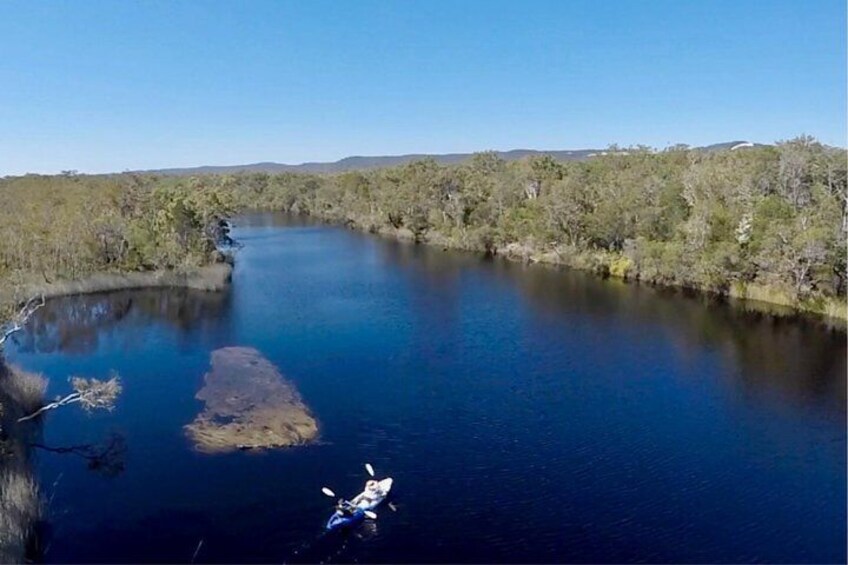 Kayaks & Stingrays: spot Rays in Noosa's hidden creeks