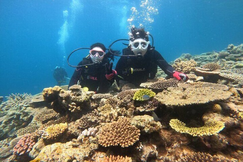 OKINAWA / Minna Island / Sesoko Island】 Trial Boat Dive (2DIves)