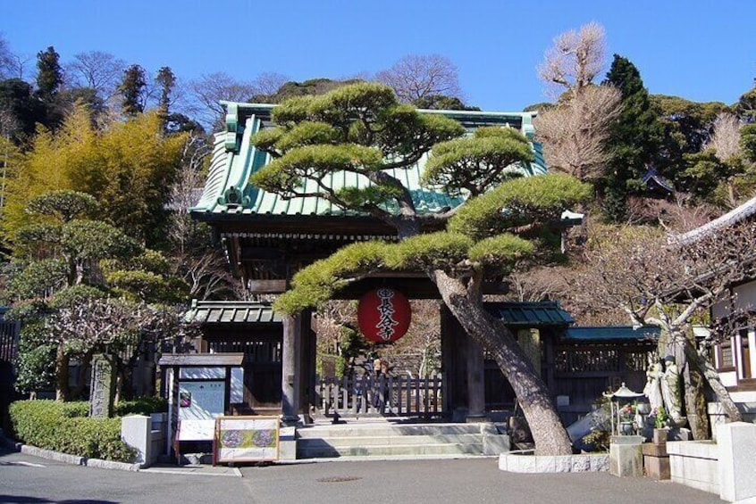 Private Kamakura and Enoshima Day Tour from Tokyo