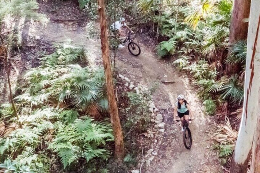 Noosa eMtn Bike Tour: Exploring a National Park on Fun MTB Trails