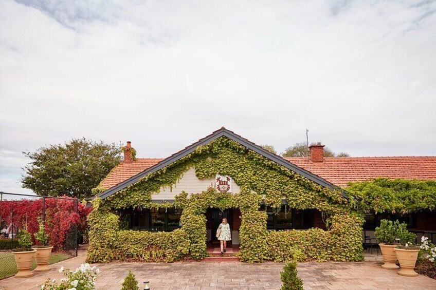 Elderton Wines Cellar Door