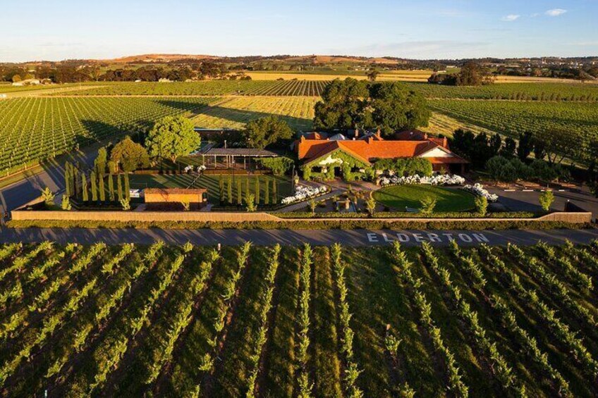 Elderton Wines Cellar Door