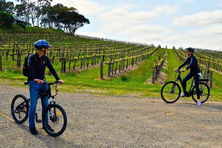 Discover McLaren Vale on eBikes - Full Day