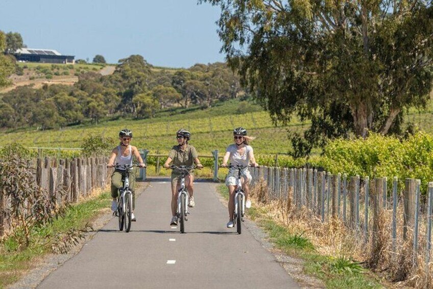 Discover McLaren Vale on eBikes - Full Day