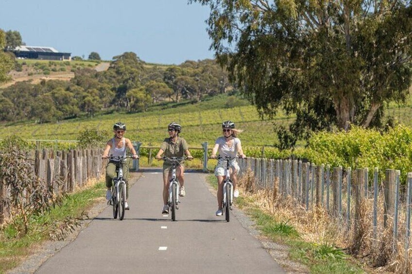 Discover McLaren Vale on eBikes - Full Day
