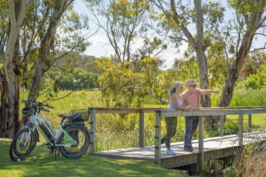 Discover McLaren Vale on eBikes - Full Day