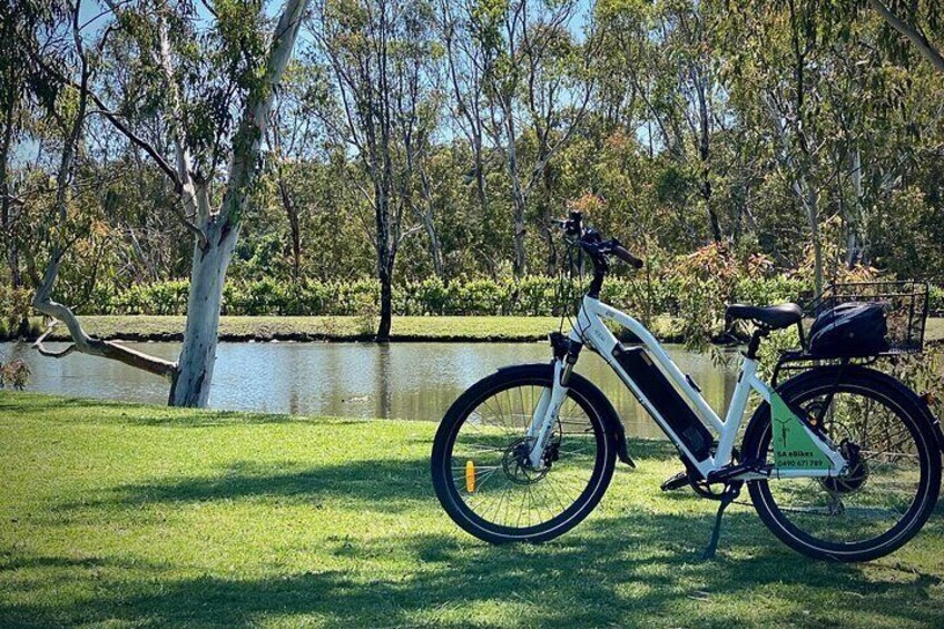 Discover McLaren Vale on eBikes - Full Day