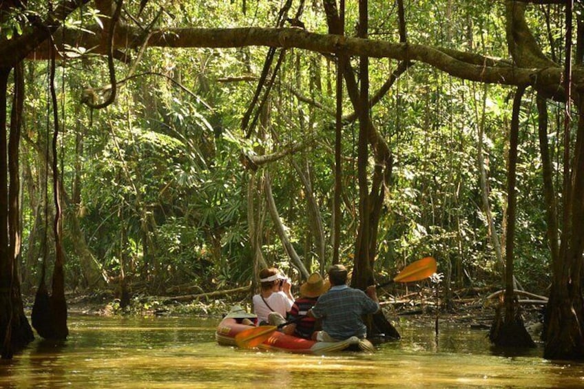 canoeing at Banyan tree forest