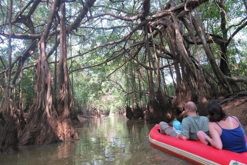 canoeing at Banyan tree forest