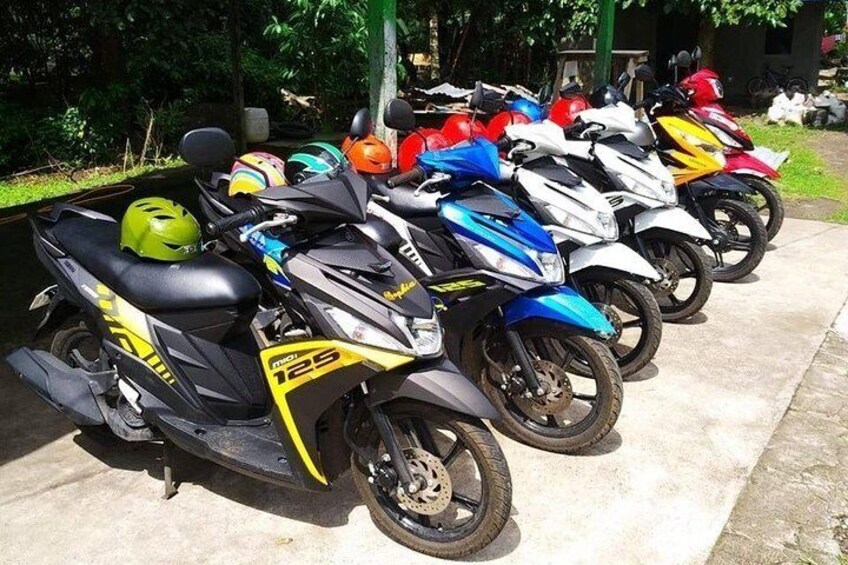 Camiguin Transport - Car-Van-MotorBike