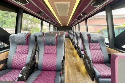 LUXE VIP-bus: begeleide dagtour door Kuala Lumpur (KL) vanuit Singapore