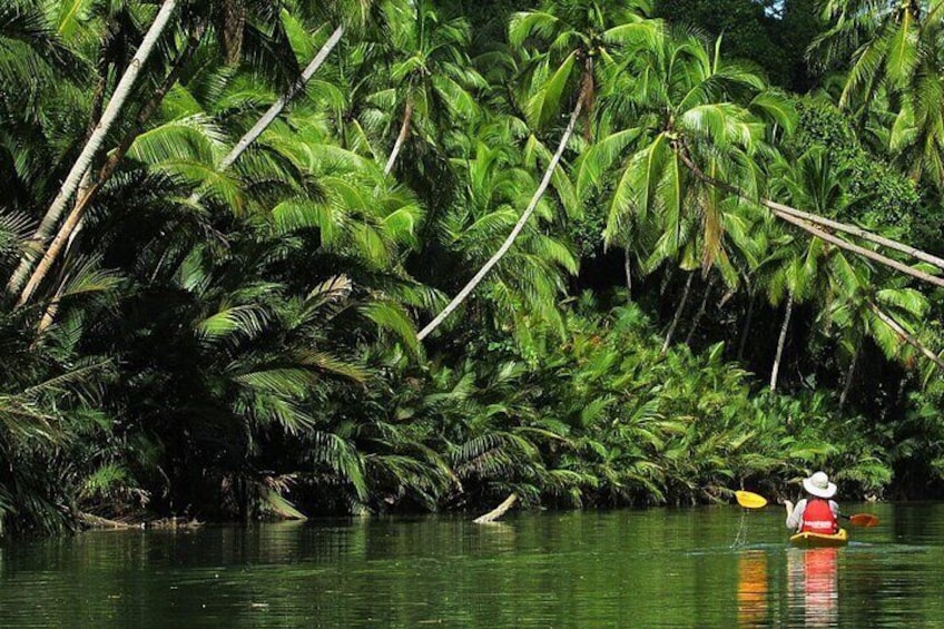 paddle along the river