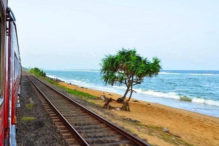 Galle - Colombo train ride