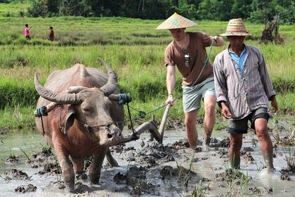 Private Half Day Luang Prabang Rural Farm Experience with Lunch