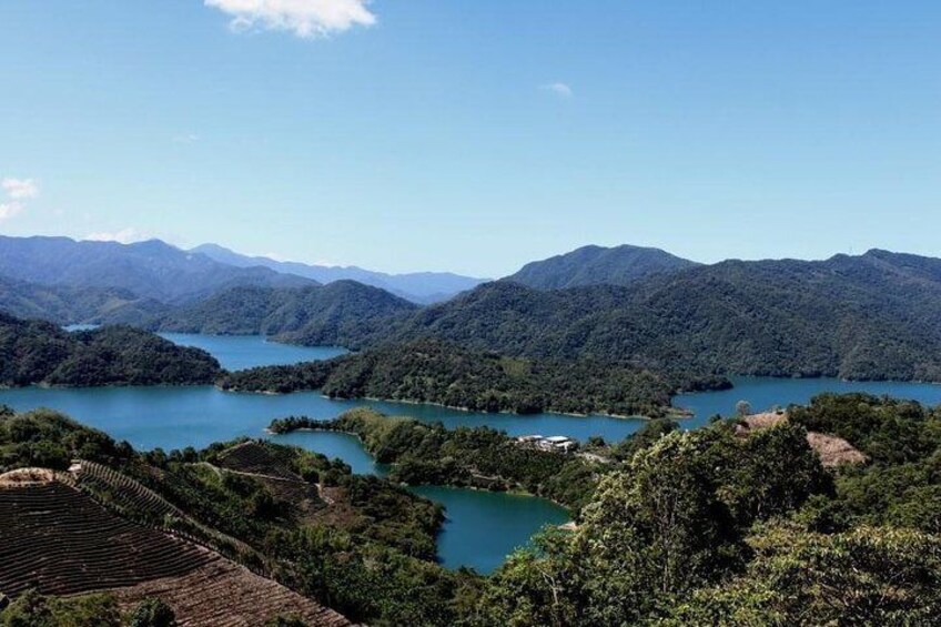 Visit the Bagua Tea Plantation at Thousand Island Lake