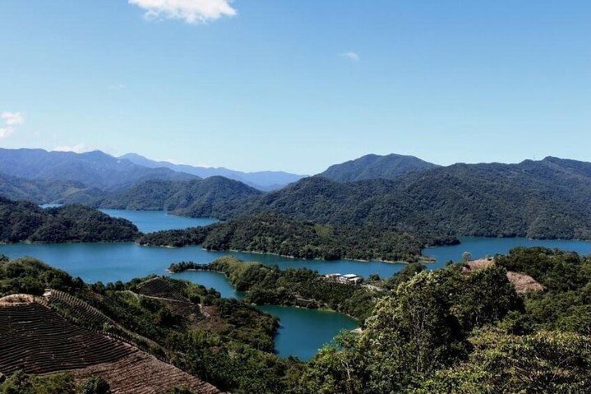 Visit the Bagua Tea Plantation at Thousand Island Lake