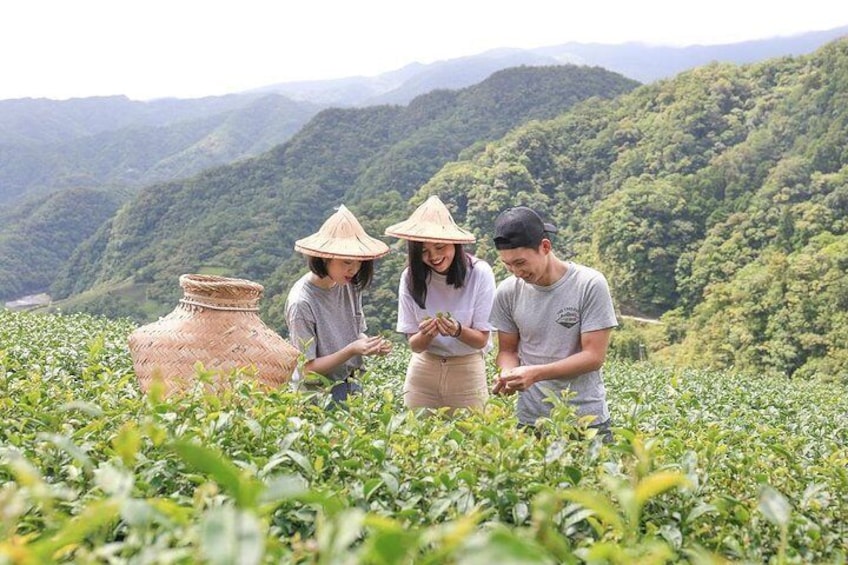 Learning tea from the tea master