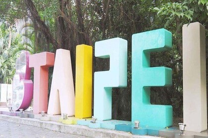 Taipei in Motion: City Day Tour by Bike, Metro and Walking