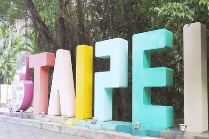 Taipei in Motion: City Day Tour by Bike, Metro and Walking