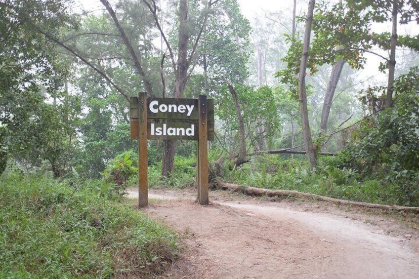 Coney Island biking