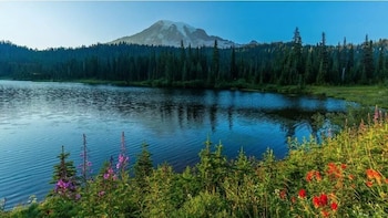 Mount Rainier Day Trip from Seattle