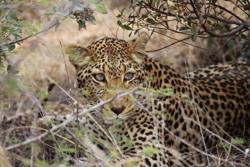 Yala National Park