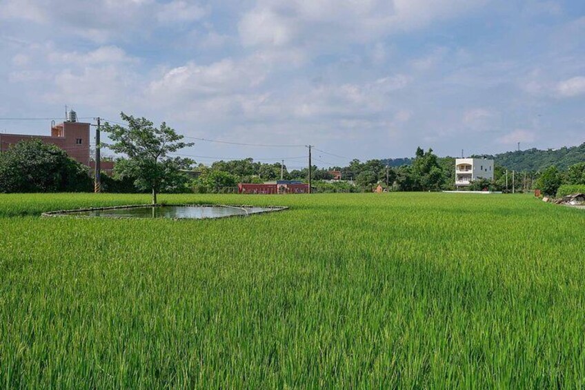 Enjoy a slow tour through the rural town of Daxi, Taiwan