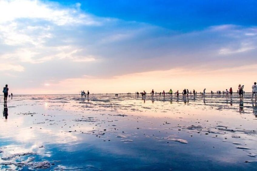 Enjoy mother nature's art at the Gaomei Wetlands