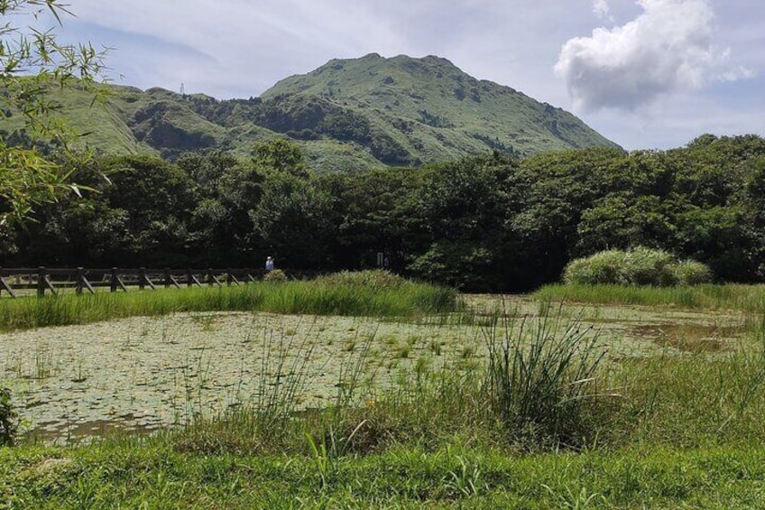 Qixingshan and Lengshuikeng pool