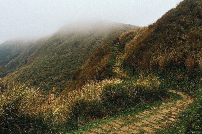 Yangmingshan trail