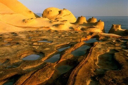 One Day Zen Meditation & North Coast Tour