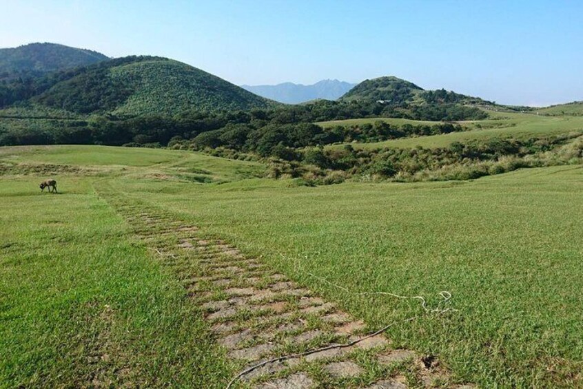 Qingtiangang Grassland
