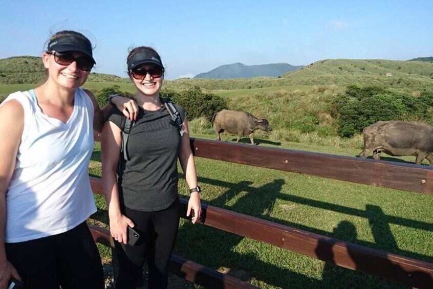 Keelung Shore Excursion: Yangmingshan Hot Spring and Wild Vegetable Cuisine Tour