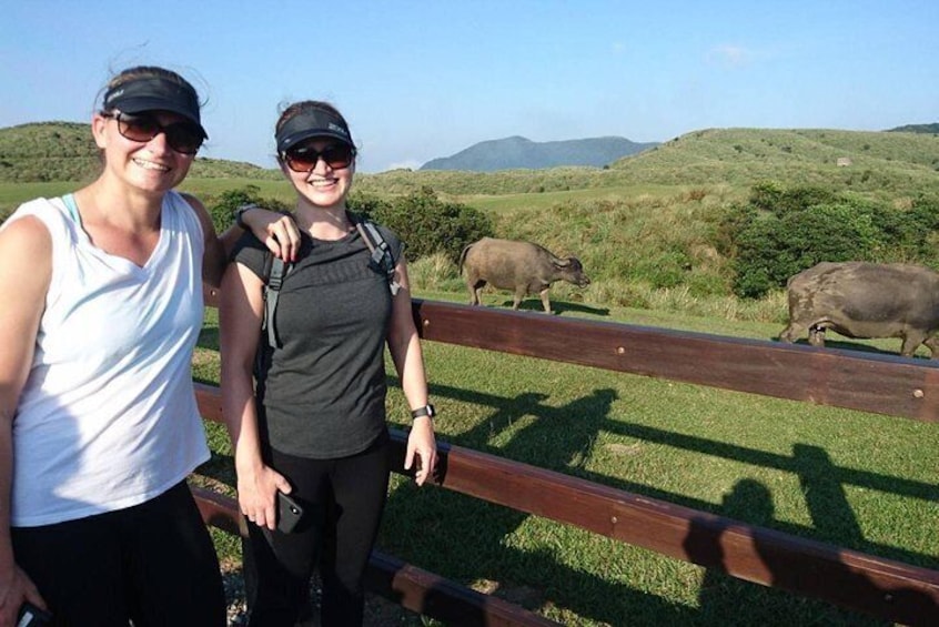 Keelung Shore Excursion: Yangmingshan Hot Spring and Wild Vegetable Cuisine Tour