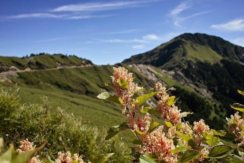 Yangmingshan National Park